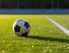 澳篮盛宴,野猫队,激战墨尔本,金贝娱乐官网,金贝娱乐品牌,金贝娱乐精彩