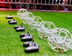 辽宁队考虑,球员归化计,篮协倡导各,金贝娱乐官网,金贝娱乐品牌,金贝娱乐精彩