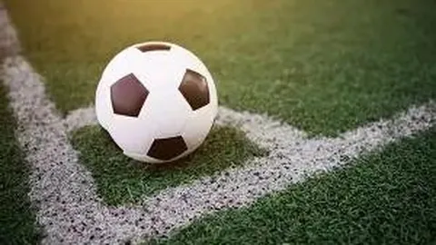 金贝娱乐 产品 232519 sbv