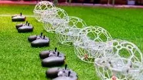 辽宁队考虑NBA球员归化计划，篮协倡导各队归化一名球员——篮协最新动态，郭士强聚焦上海赛事